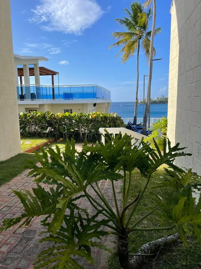 Charamicos- Sosua Beach Dominican Republic